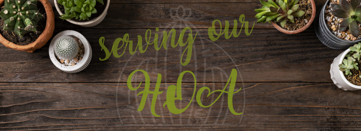 Potted cactus and succulent background with blank space